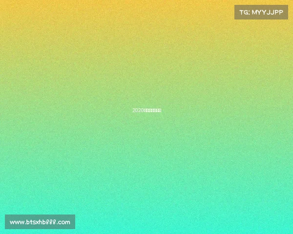 2020年国内赛车比赛