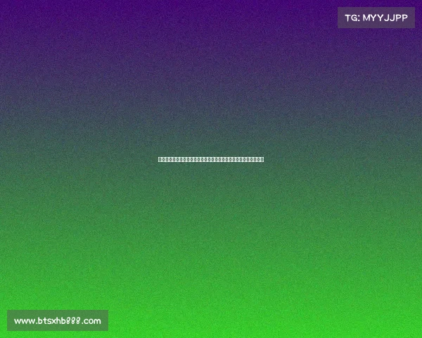 赛事组织与管理核心要素从策划执行到评估优化的全程实践策略指南